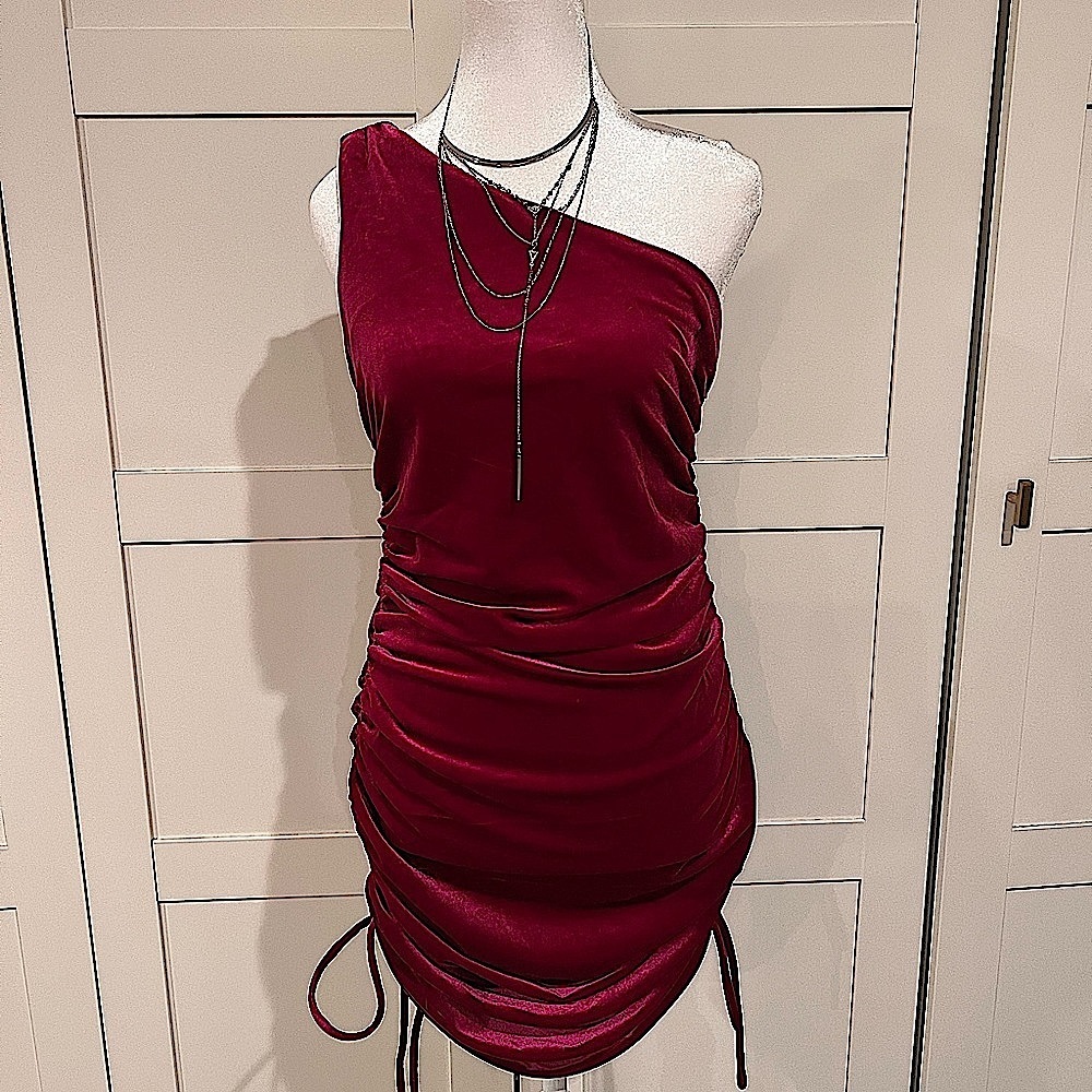 House of Harlow 1960- raspberry velvet cocktail dress NWT - Picture 2 of 5